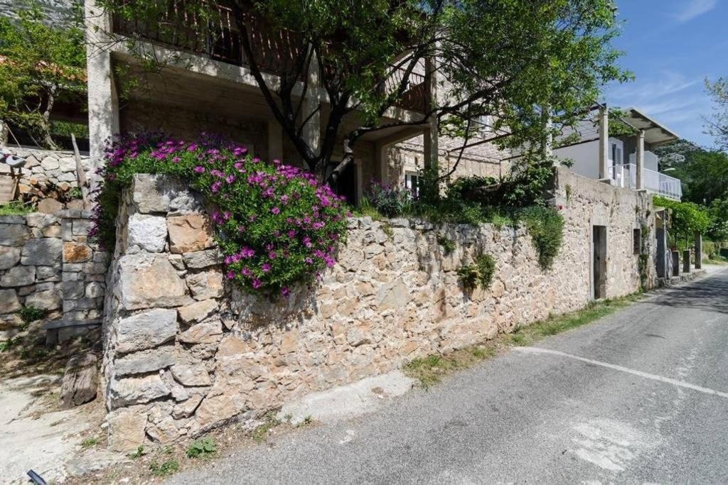 Apartments Felix Babino Polje 외부 사진